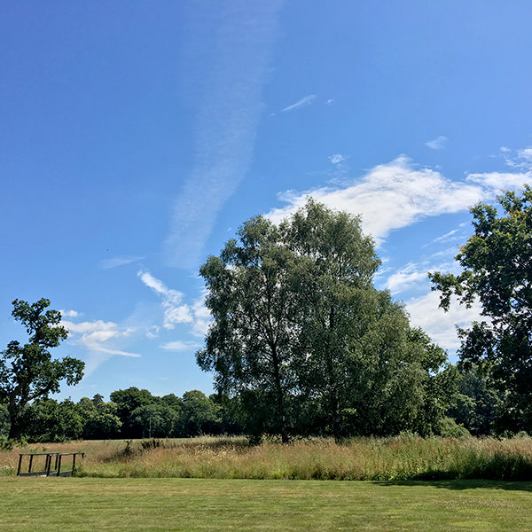 Wildflower Pilates New Forest, Christchurch